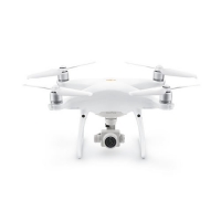 Drone Phantom 4 Pro V2.0 (Normal y Plus) DJI